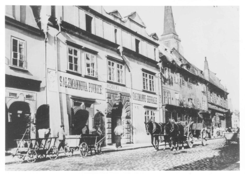 Hotel U Salzmannu Plzen Bagian luar foto
